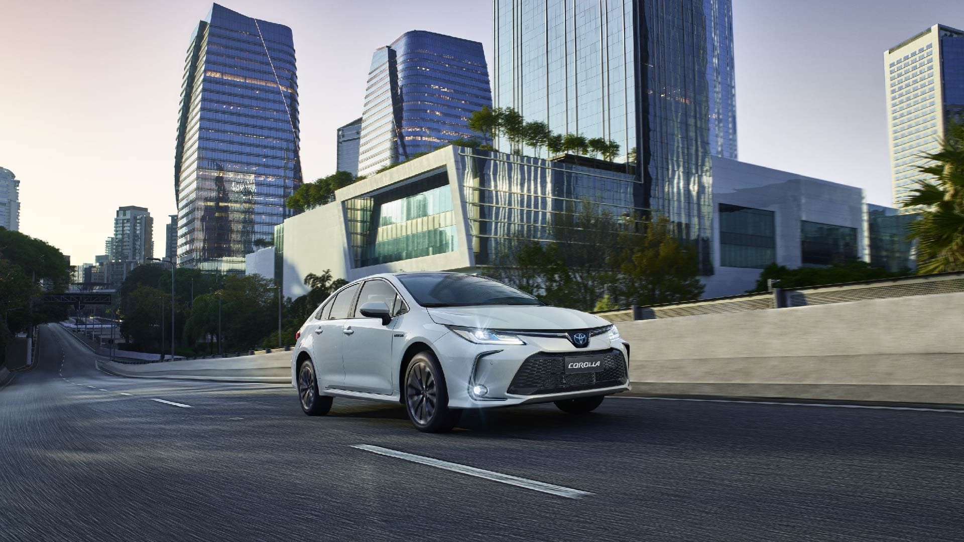 Toyota Corolla SEG Exterior